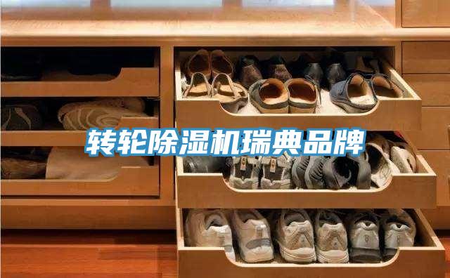 转轮91免费网站在线观看瑞典品牌