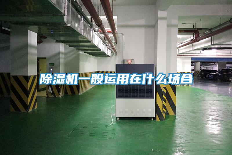 91免费网站在线观看一般运用在什么场合