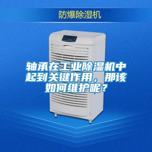 轴承在工业91免费网站在线观看中起到关键作用，那该如何维护呢？