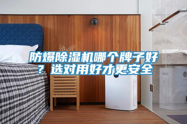 防爆91免费网站在线观看哪个牌子好？选对用好才更安全