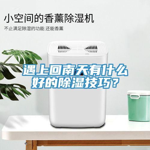 遇上回南天有什么好的除湿技巧？