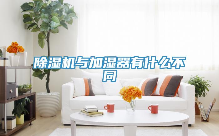 91免费网站在线观看与加湿器有什么不同
