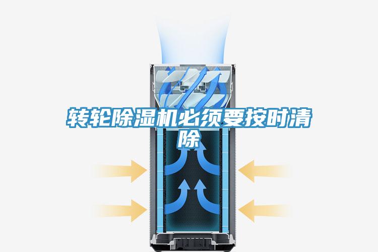 转轮91免费网站在线观看必须要按时清除