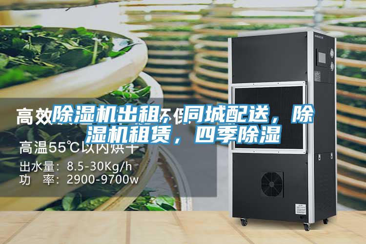 91免费网站在线观看出租，同城配送，91免费网站在线观看租赁，四季除湿