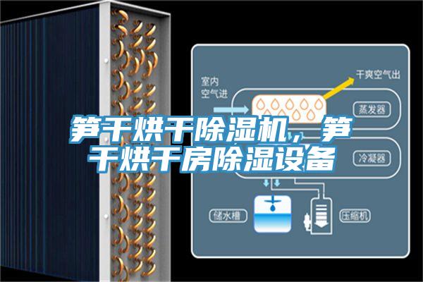 笋干烘干91免费网站在线观看，笋干烘干房除湿设备