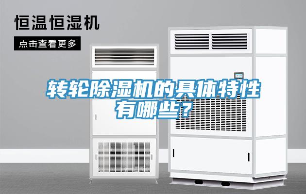 转轮91免费网站在线观看的具体特性有哪些？