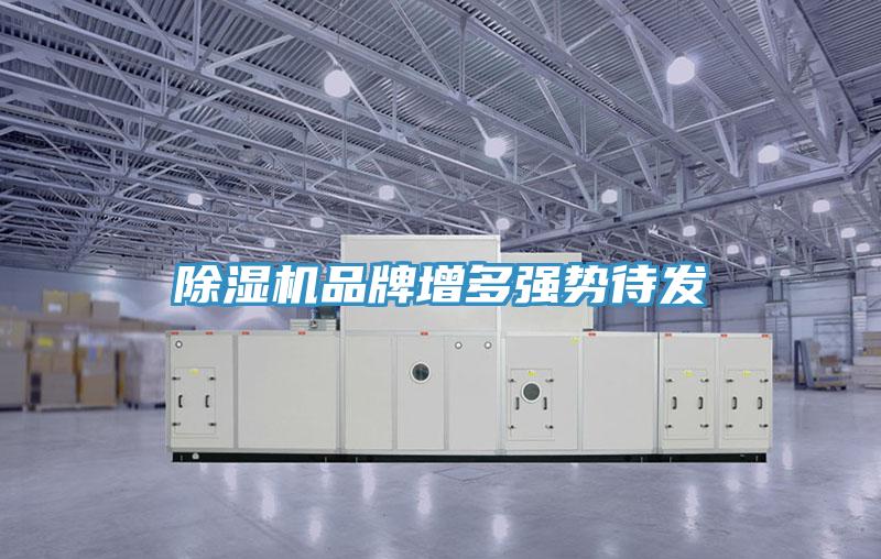 91免费网站在线观看品牌增多强势待发