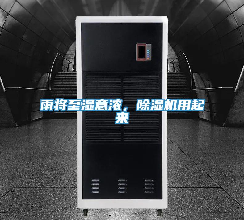 雨将至湿意浓，91免费网站在线观看用起来
