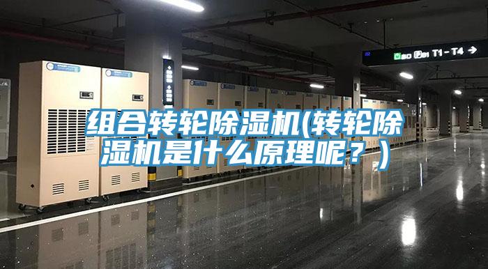 组合转轮91免费网站在线观看(转轮91免费网站在线观看是什么原理呢？)