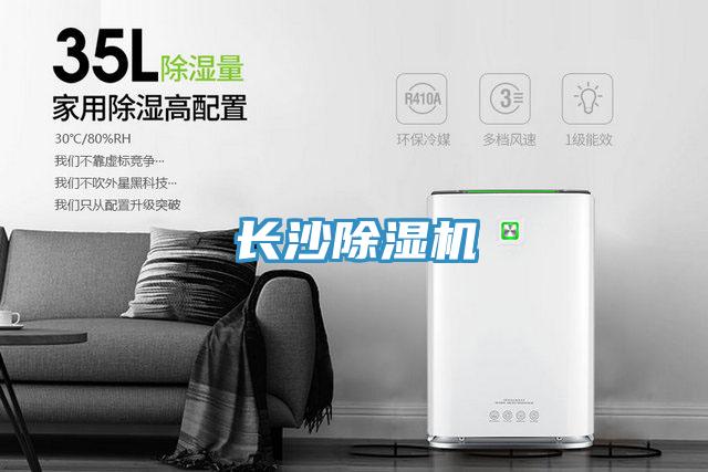 长沙91免费网站在线观看
