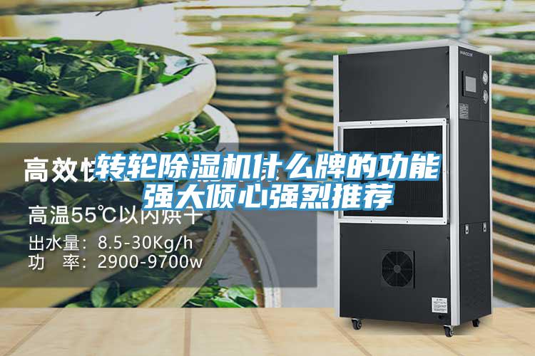 转轮91免费网站在线观看什么牌的功能强大倾心强烈推荐
