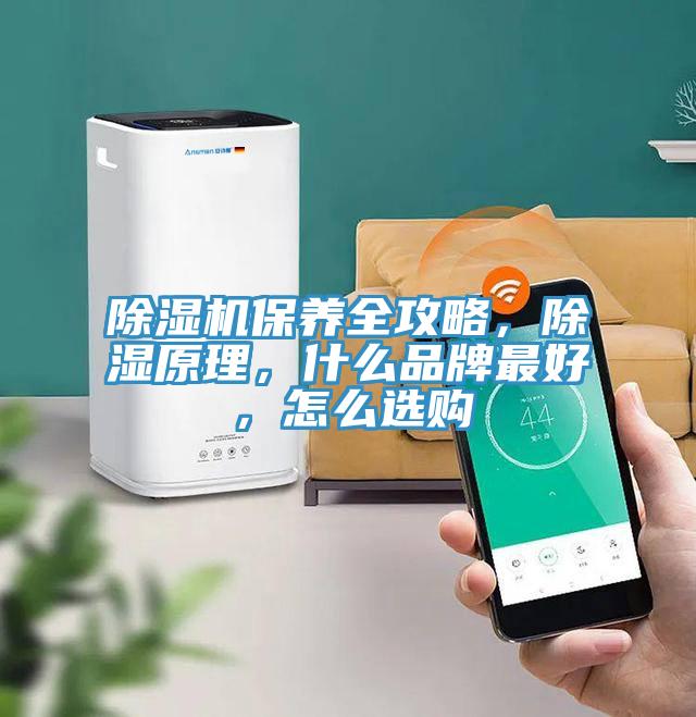 91免费网站在线观看保养全攻略，除湿原理，什么品牌最好，怎么选购