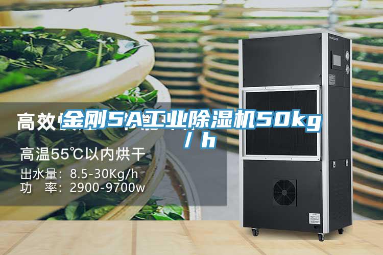 金刚5A工业91免费网站在线观看50kg／h