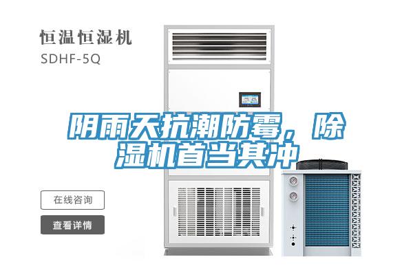 阴雨天抗潮防霉，91免费网站在线观看首当其冲