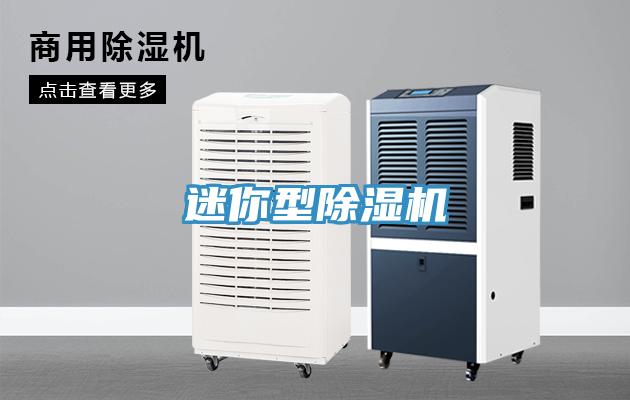 迷你型91免费网站在线观看