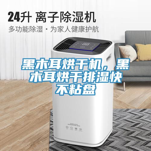 黑木耳烘干机，黑木耳烘干排湿快不粘盘