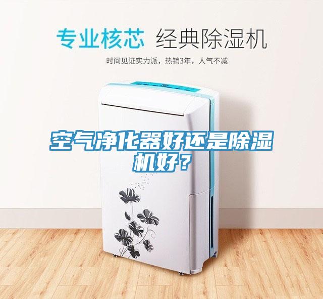 空气净化器好还是91免费网站在线观看好？
