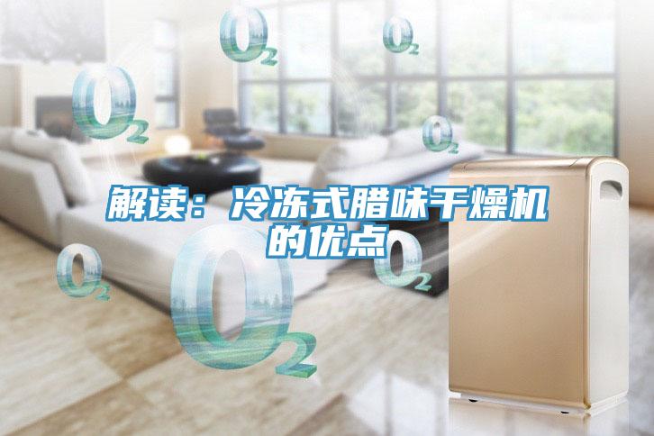解读：冷冻式腊味干燥机的优点
