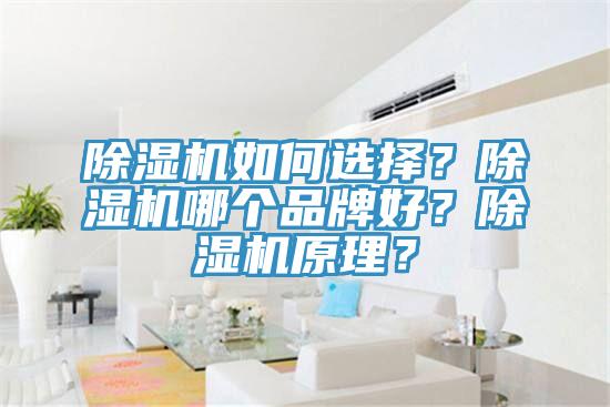 91免费网站在线观看如何选择？91免费网站在线观看哪个品牌好？91免费网站在线观看原理？