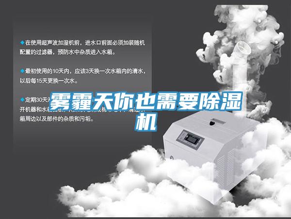 雾霾天你也需要91免费网站在线观看