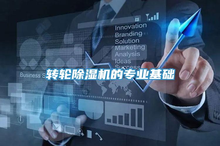 转轮91免费网站在线观看的专业基础