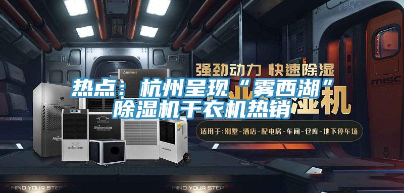 热点：杭州呈现“雾西湖”91免费网站在线观看干衣机热销