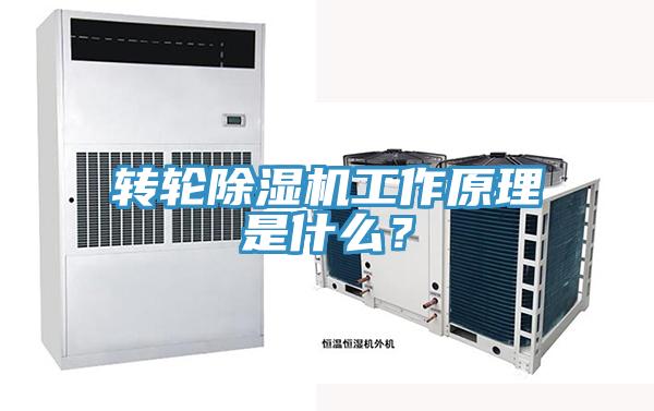 转轮91免费网站在线观看工作原理是什么？