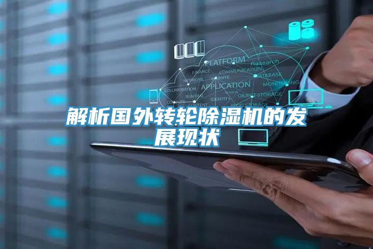 解析国外转轮91免费网站在线观看的发展现状