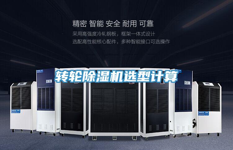 转轮91免费网站在线观看选型计算