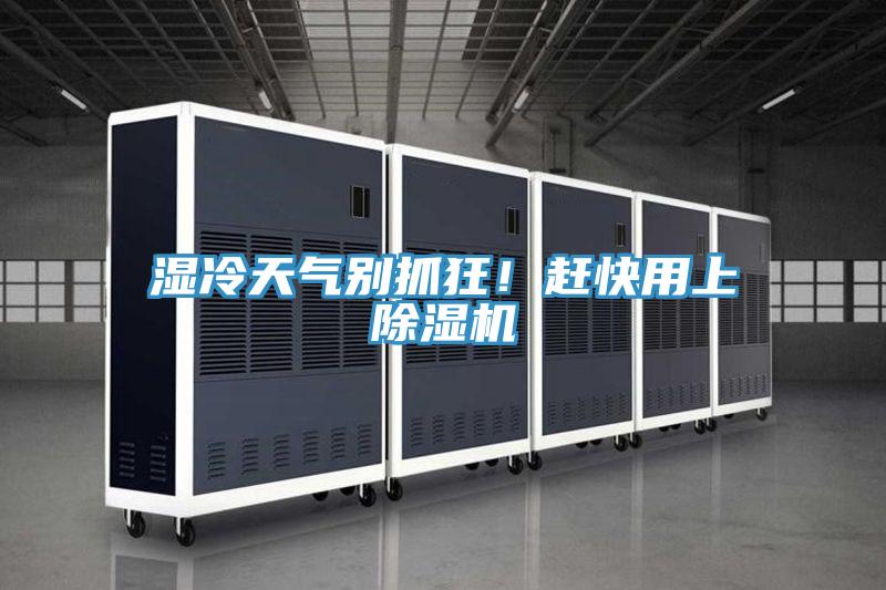 湿冷天气别抓狂！赶快用上91免费网站在线观看
