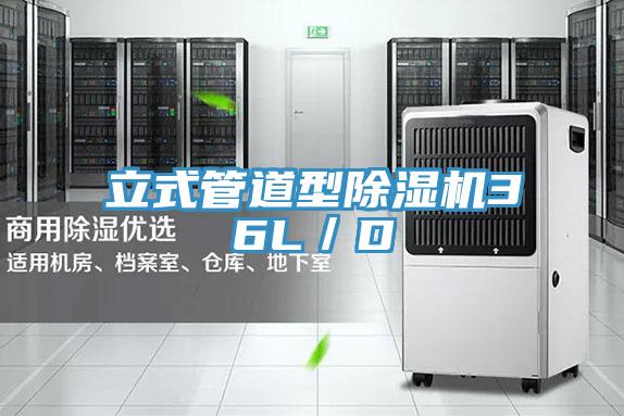立式管道型91免费网站在线观看36L／D