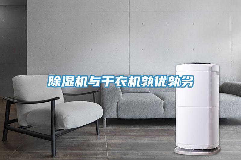 91免费网站在线观看与干衣机孰优孰劣