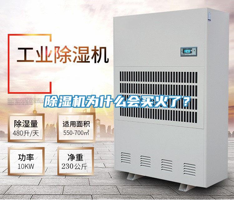 91免费网站在线观看为什么会买火了？