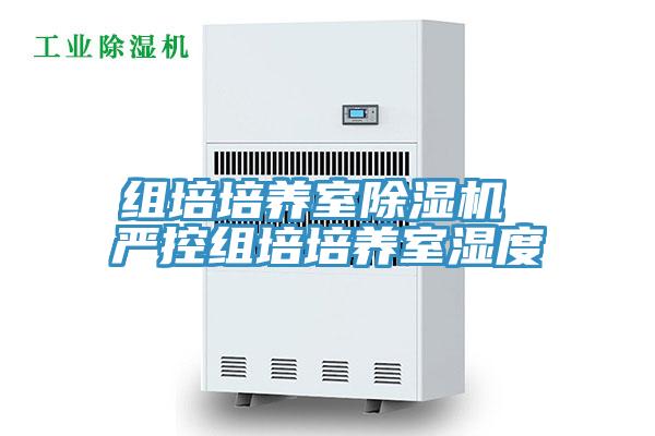 组培培养室91免费网站在线观看 严控组培培养室湿度