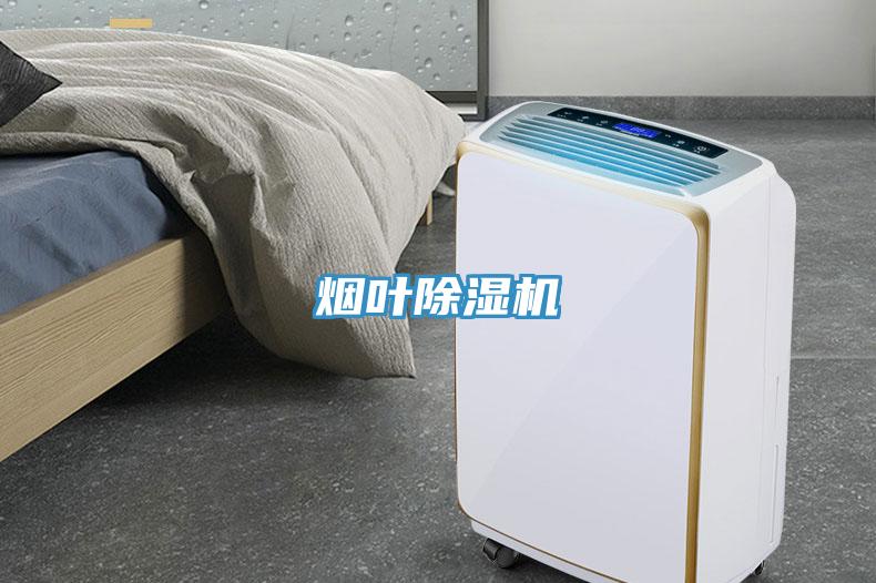 烟叶91免费网站在线观看