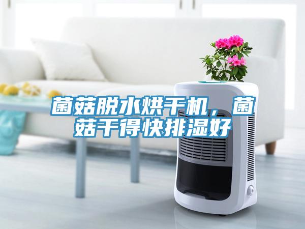 菌菇脱水烘干机，菌菇干得快排湿好