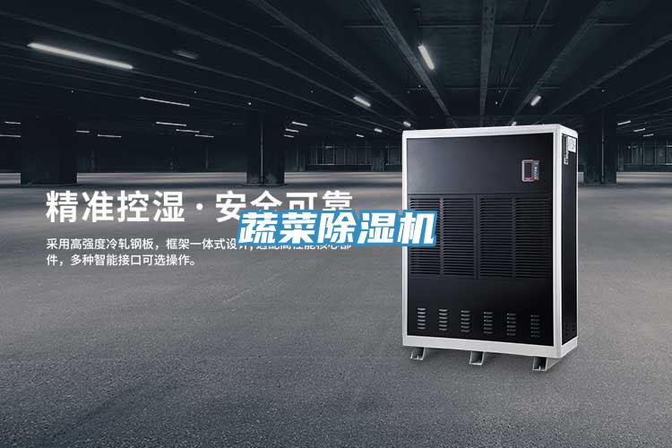 蔬菜91免费网站在线观看
