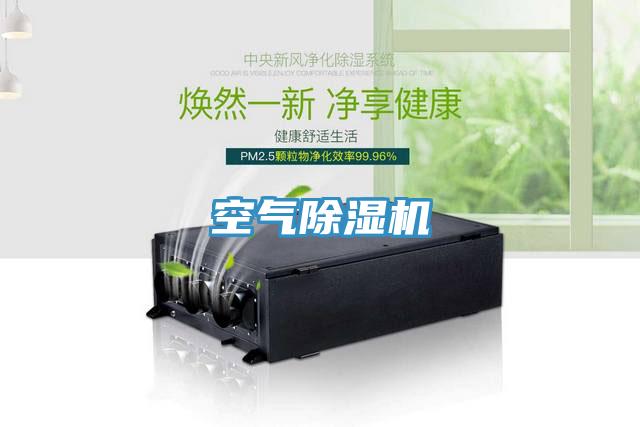 空气91免费网站在线观看