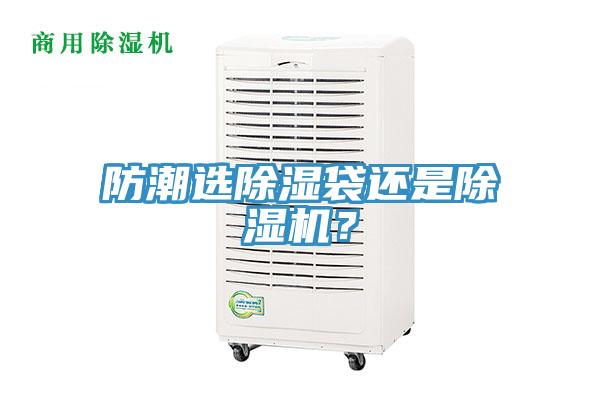 防潮选除湿袋还是91免费网站在线观看？