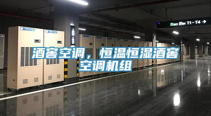 酒窖空调，恒温恒湿酒窖空调机组