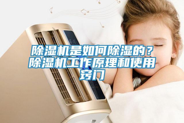 91免费网站在线观看是如何除湿的？91免费网站在线观看工作原理和使用窍门