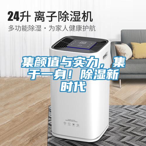 集颜值与实力，集于一身！除湿新时代