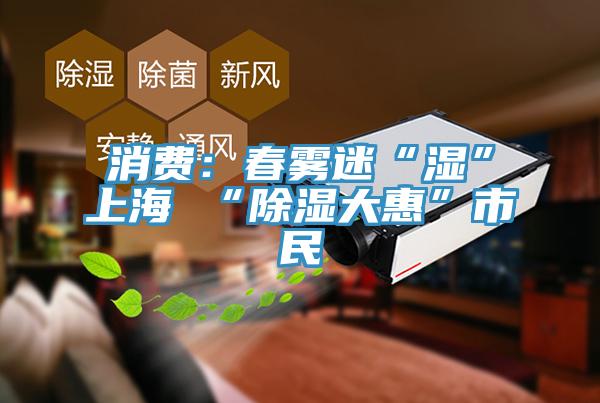 消费：春雾迷“湿”上海 “除湿大惠”市民