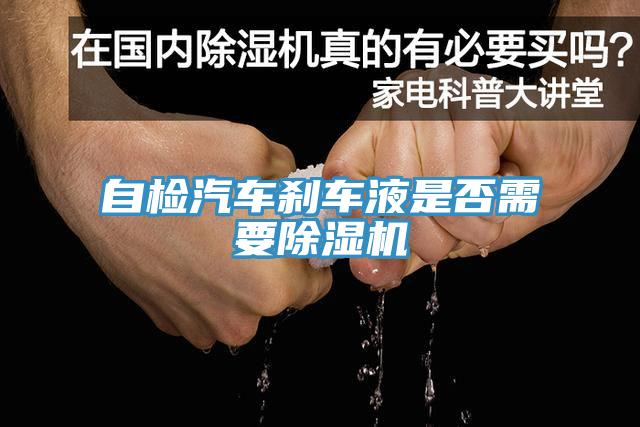 自检汽车刹车液是否需要91免费网站在线观看