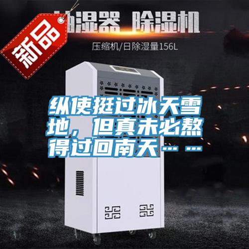 纵使挺过冰天雪地，但真未必熬得过回南天……