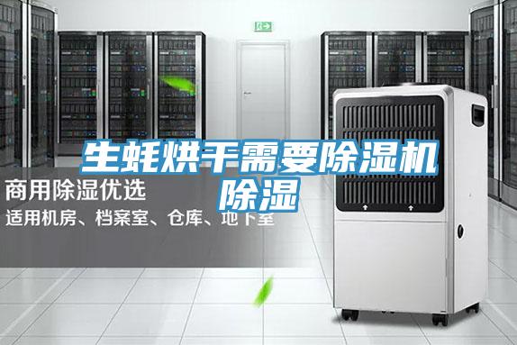 生蚝烘干需要91免费网站在线观看除湿