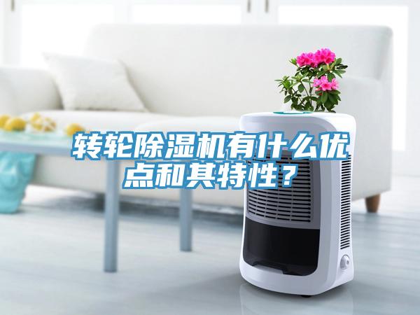 转轮91免费网站在线观看有什么优点和其特性？
