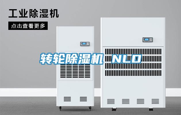 转轮91免费网站在线观看 NLD