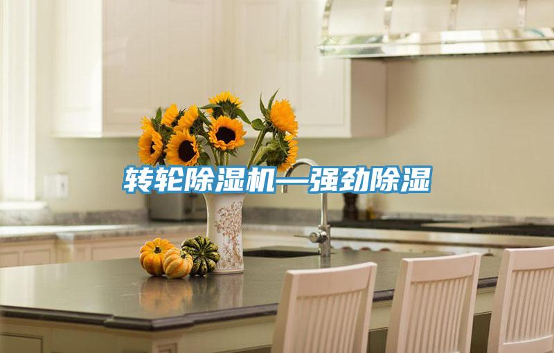 转轮91免费网站在线观看—强劲除湿