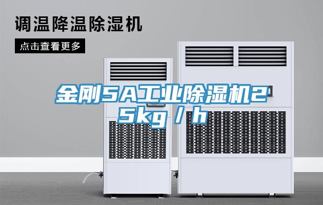 金刚5A工业91免费网站在线观看25kg／h